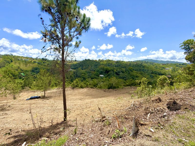Bo Arenas Sec Vista Alegre Carr Pr 734 Km 5.5 Int, Cidra - 3