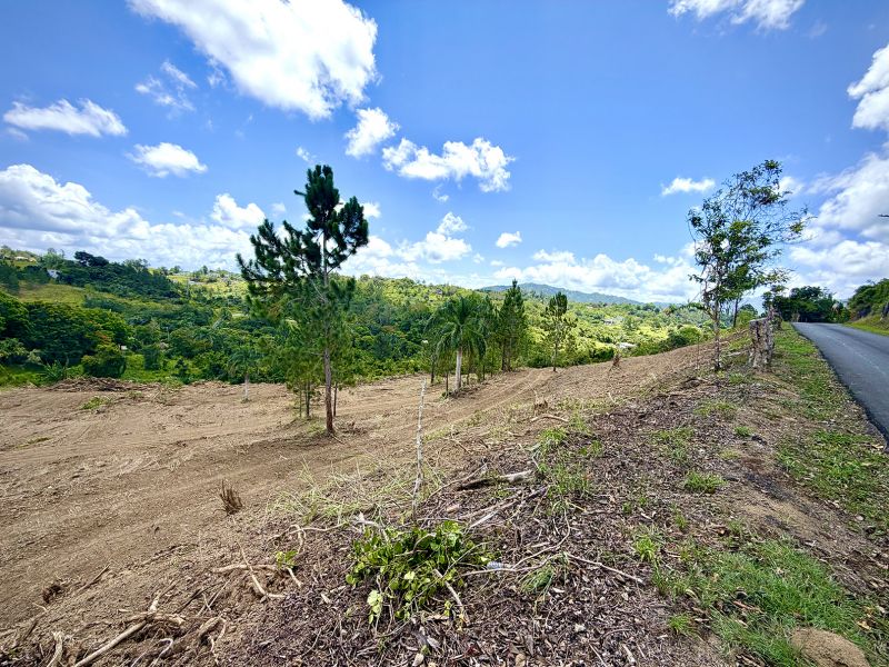 Bo Arenas Sec Vista Alegre Carr Pr 734 Km 5.5 Int, Cidra - 4