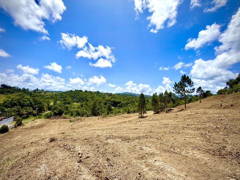 Bo Arenas Sec Vista Alegre Carr Pr 734 Km 5.5 Int, Cidra - 5