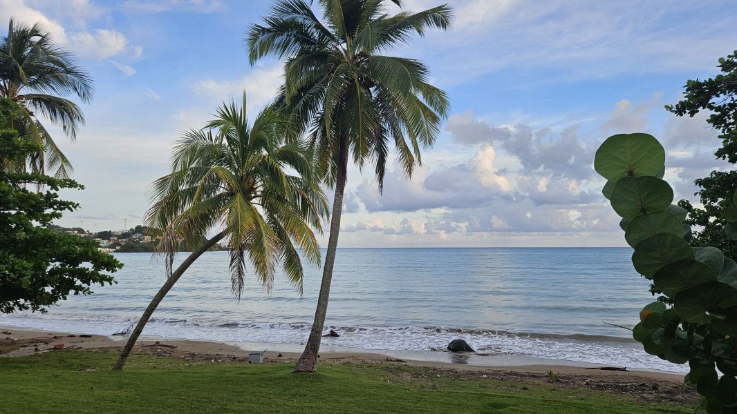 Cond Cala De Hucares Apto D320 Naguabo 00718 PR