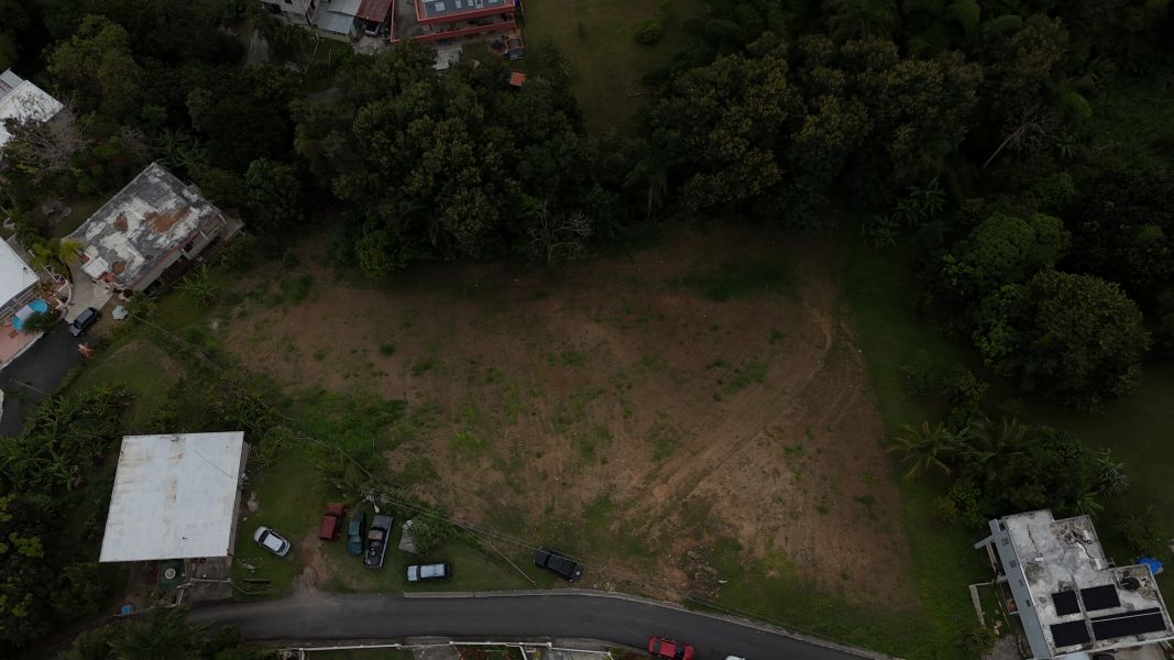 Sector Morrilo Carr 171 Km 7.2 Bo Rincon Cayey 00737 PR