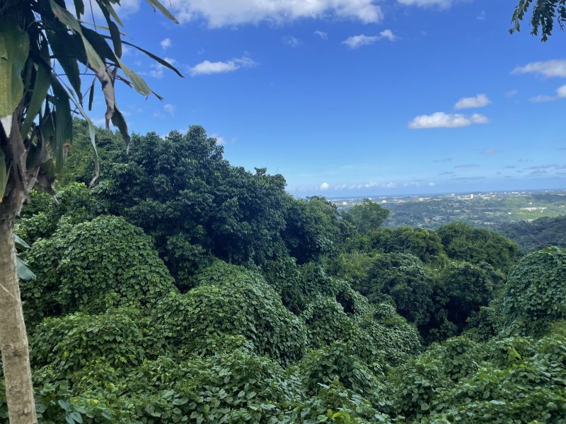 Bo Camarones Carr 836 Km 2.3 Guaynabo 00956 PR