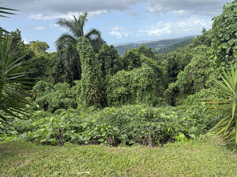 Bo Camarones Carr 836 Km 2.3 Guaynabo 00956 PR