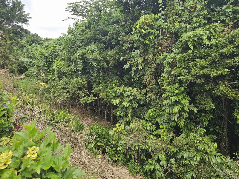 Bo Camarones Carr 836 Km 2.3 Guaynabo 00956 PR