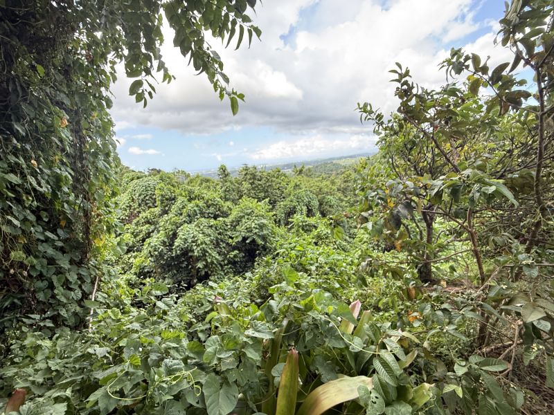 Bo Camarones Carr 836 Km 2.3 Guaynabo 00956 PR