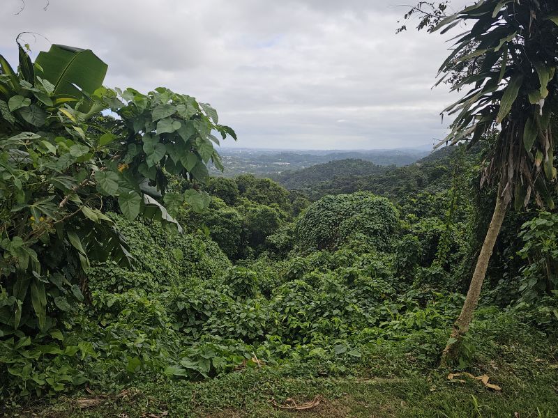 Bo Camarones Carr 836 Km 2.3 Guaynabo 00956 PR