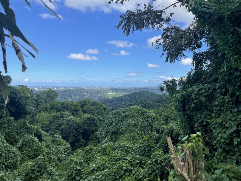 Bo Camarones Carr 836 Km 2.3 Guaynabo 00956 PR