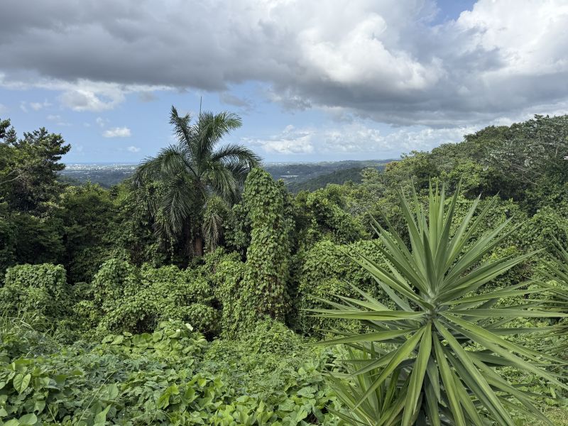 Bo Camarones Carr 836 Km 2.3 Guaynabo 00956 PR