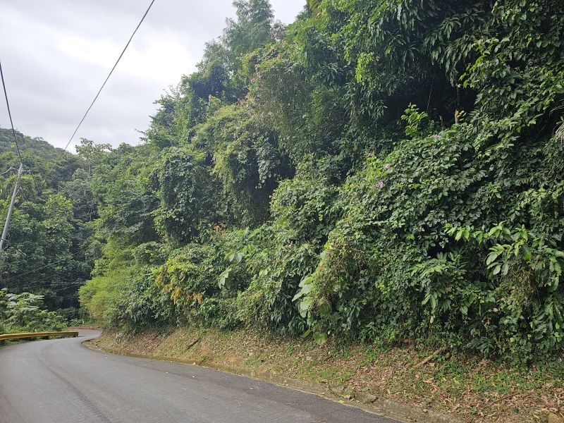 Bo Camarones Carr 836 Km 2.3 Guaynabo 00956 PR