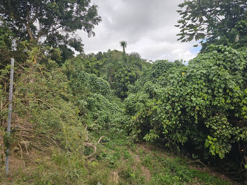 Bo Camarones Carr 836 Km 2.3 Guaynabo 00956 PR