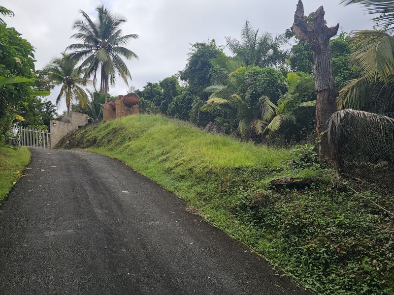 Bo Camarones Carr 836 Km 2.3 Guaynabo 00956 PR