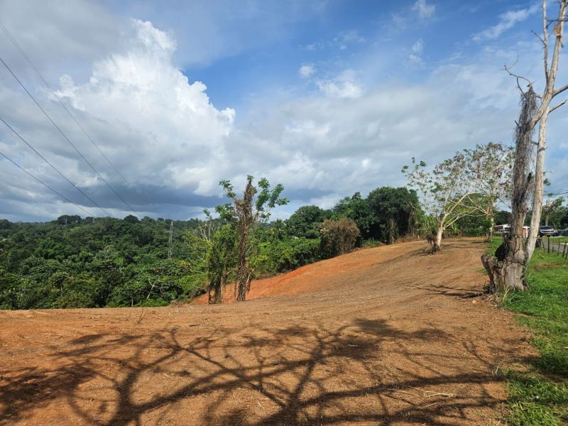 Bo Ovejas Carr 4430 Km 2.1 Anasco 00610 PR