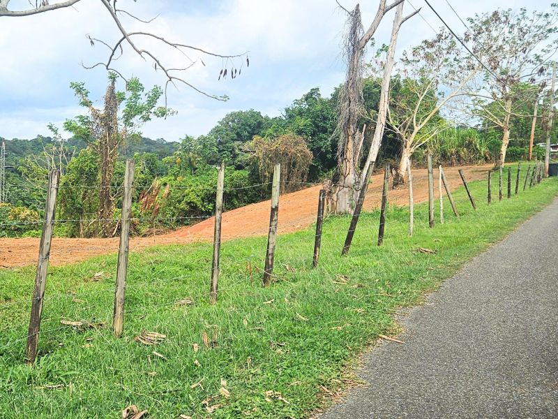 Bo Ovejas Carr 4430 Km 2.1 Anasco 00610 PR