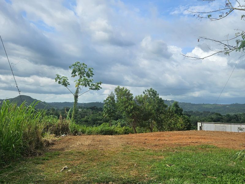 Bo Ovejas Carr 4430 Km 2.1 Anasco 00610 PR