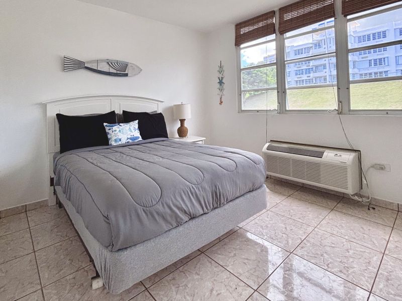 Cond Costa Esmeralda D-302 Ceiba 00735 PR