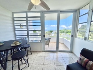 Cond Costa Esmeralda D-302 Ceiba 00735 PR