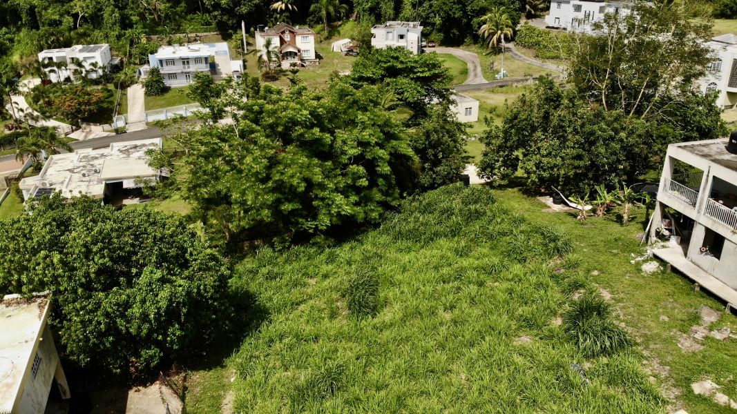 Estancias Del Verde Calle 2 Numero 83 Rio Grande 00745 PR