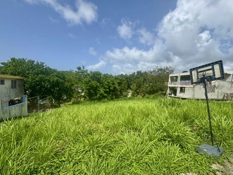 Estancias Del Verde Calle 2 Numero 83 Rio Grande 00745 PR