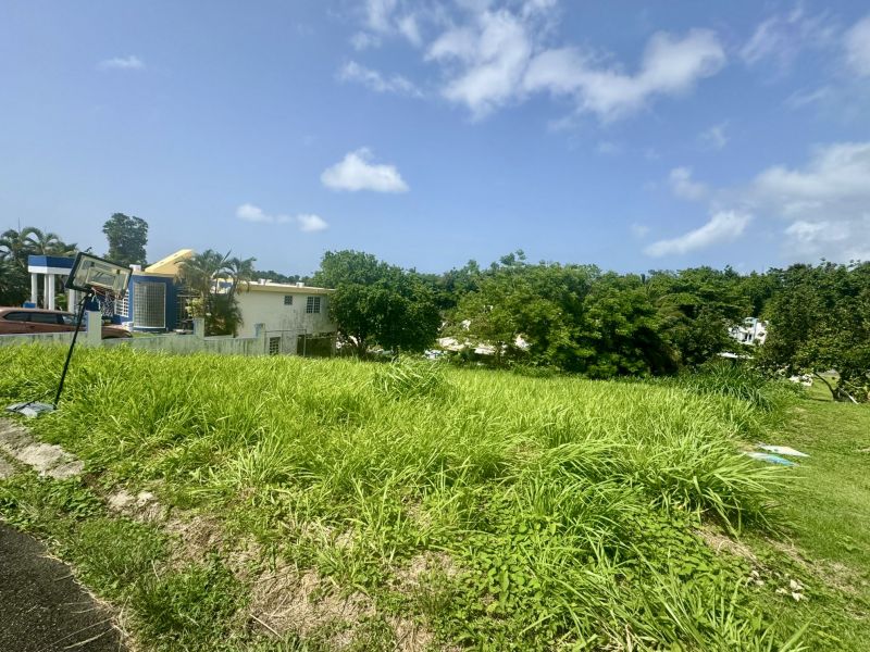 Estancias Del Verde Calle 2 Numero 83 Rio Grande 00745 PR