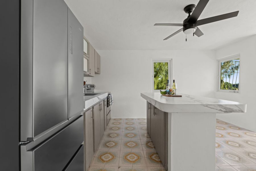 Camino Juanillo Fuentes Solar # 20 Barrio Santa Ro Guaynabo 00971 PR