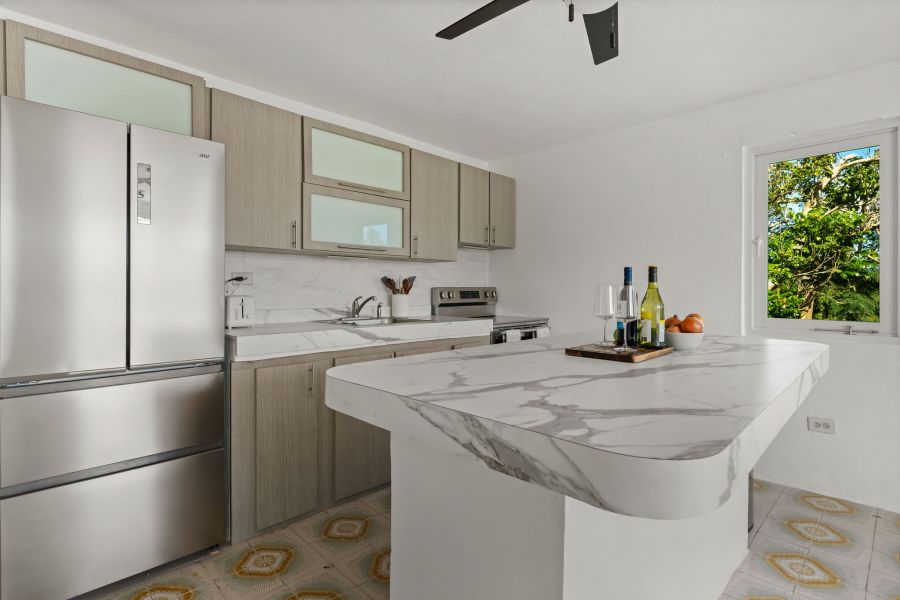 Camino Juanillo Fuentes Solar # 20 Barrio Santa Ro Guaynabo 00971 PR