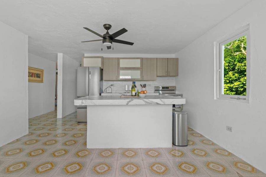 Camino Juanillo Fuentes Solar # 20 Barrio Santa Ro Guaynabo 00971 PR