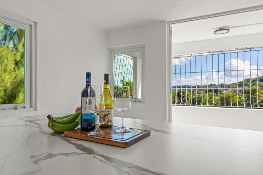 Camino Juanillo Fuentes Solar # 20 Barrio Santa Ro Guaynabo 00971 PR