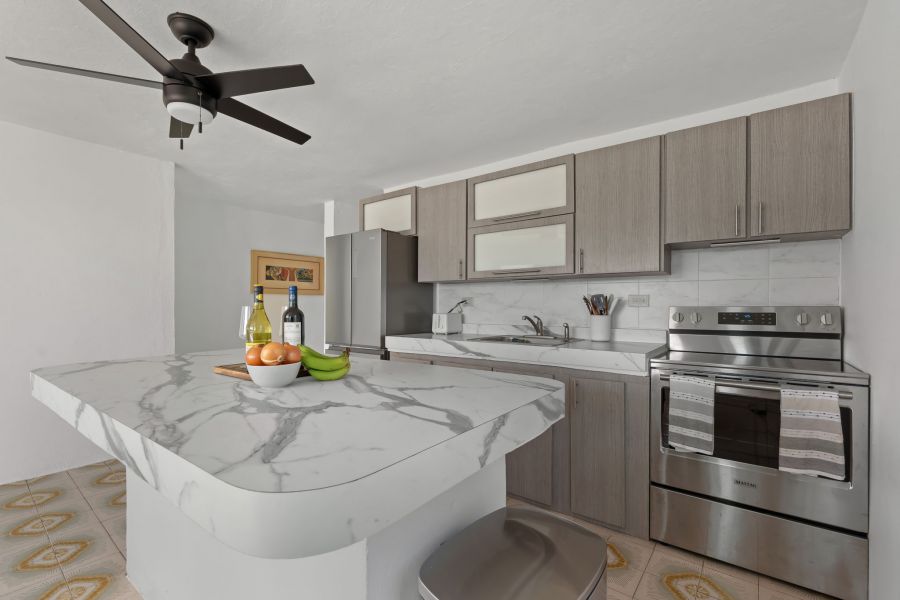 Camino Juanillo Fuentes Solar # 20 Barrio Santa Ro Guaynabo 00971 PR