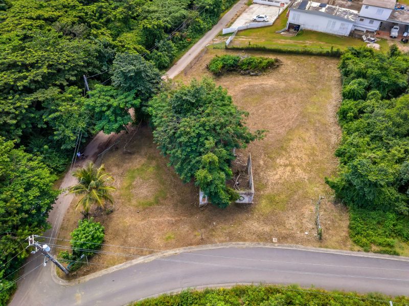 Solar # 336 Villa Borinquen Vieques 00765 PR