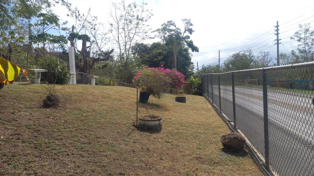 Carr 115 Km 4.8 Bo Caguabo Anasco 00610 PR