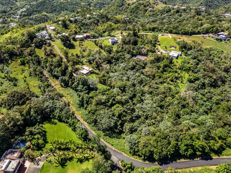 Carr 792 Km 3.5 Sector La Escuelita Bo Sonadora Aguas Buenas 00703 PR