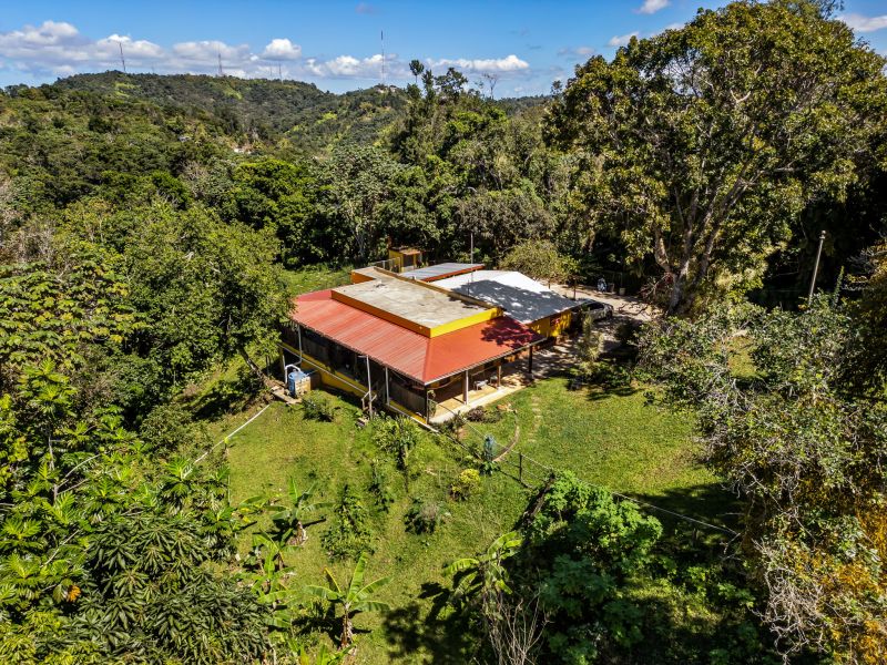 Carr 792 Km 3.5 Sector La Escuelita Bo Sonadora Aguas Buenas 00703 PR