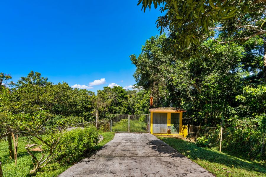 Carr 792 Km 3.5 Sector La Escuelita Bo Sonadora Aguas Buenas 00703 PR