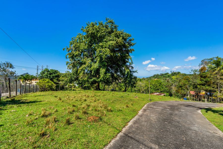 Carr 792 Km 3.5 Sector La Escuelita Bo Sonadora Aguas Buenas 00703 PR