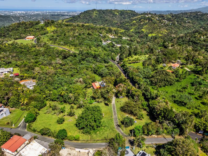 Carr 792 Km 3.5 Sector La Escuelita Bo Sonadora Aguas Buenas 00703 PR