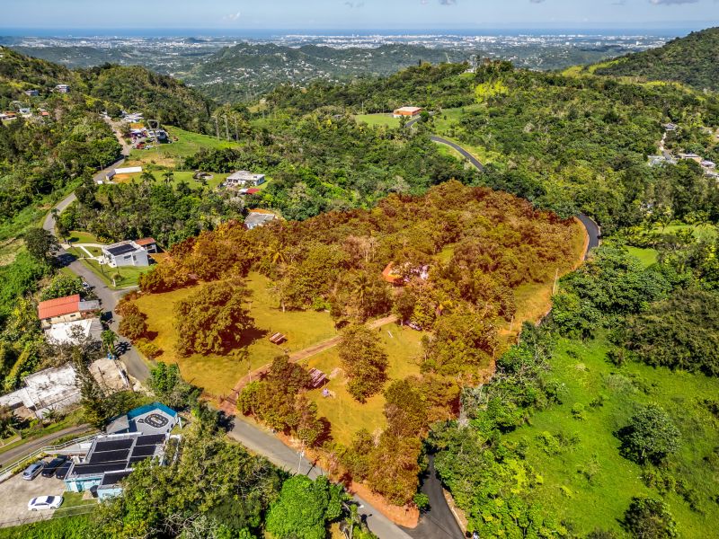 Carr 792 Km 3.5 Sector La Escuelita Bo Sonadora Aguas Buenas 00703 PR