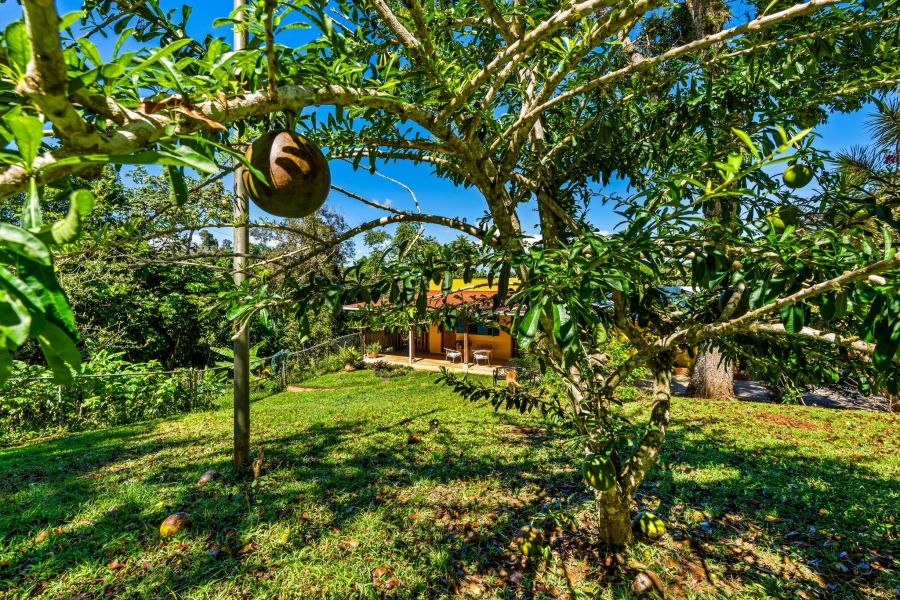 Carr 792 Km 3.5 Sector La Escuelita Bo Sonadora Aguas Buenas 00703 PR