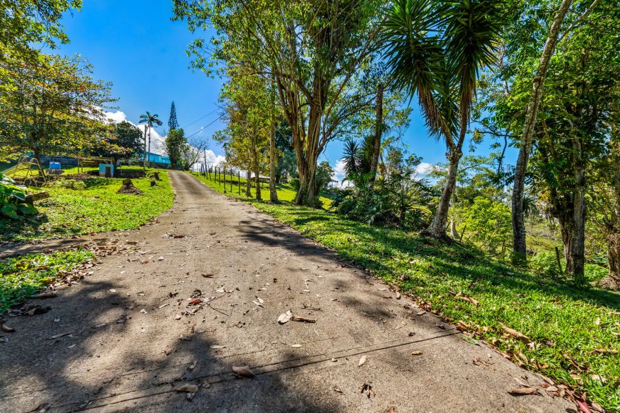 Carr 792 Km 3.5 Sector La Escuelita Bo Sonadora Aguas Buenas 00703 PR