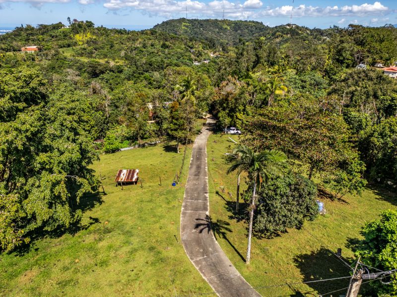 Carr 792 Km 3.5 Sector La Escuelita Bo Sonadora Aguas Buenas 00703 PR