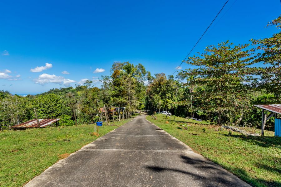 Carr 792 Km 3.5 Sector La Escuelita Bo Sonadora Aguas Buenas 00703 PR