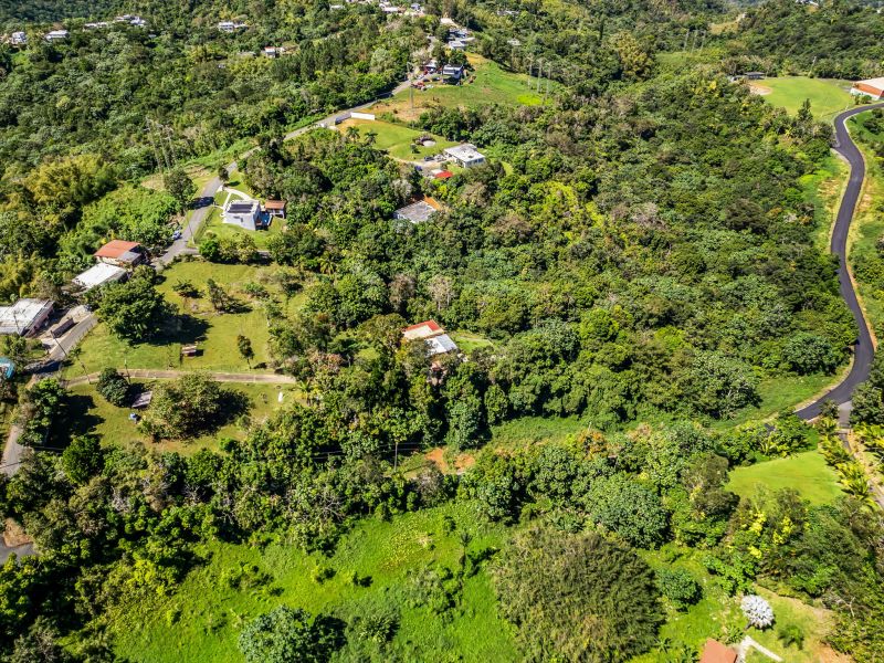 Carr 792 Km 3.5 Sector La Escuelita Bo Sonadora Aguas Buenas 00703 PR