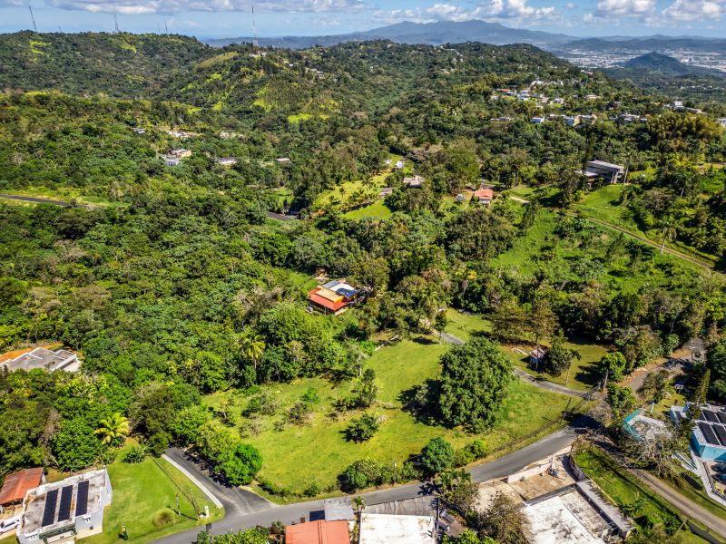 Carr 792 Km 3.5 Sector La Escuelita Bo Sonadora Aguas Buenas 00703 PR