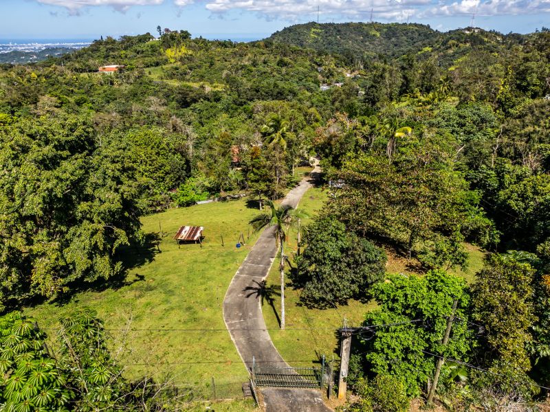 Carr 792 Km 3.5 Sector La Escuelita Bo Sonadora Aguas Buenas 00703 PR
