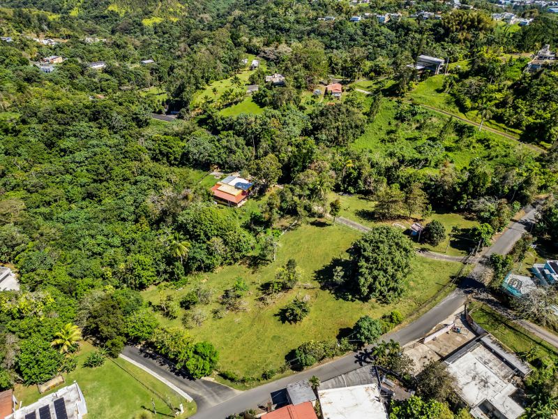 Carr 792 Km 3.5 Sector La Escuelita Bo Sonadora Aguas Buenas 00703 PR