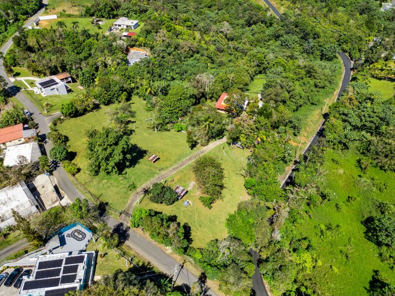 Carr 792 Km 3.5 Sector La Escuelita Bo Sonadora Aguas Buenas 00703 PR