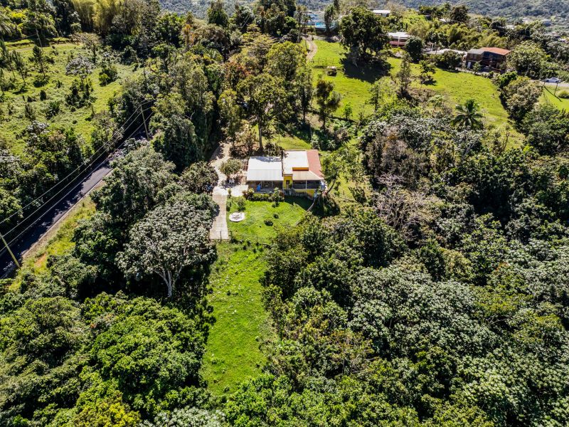 Carr 792 Km 3.5 Sector La Escuelita Bo Sonadora Aguas Buenas 00703 PR