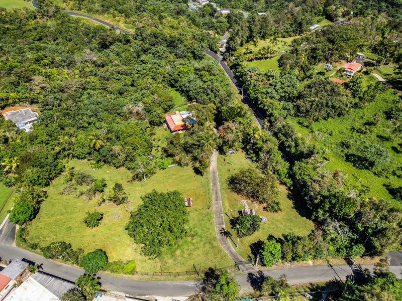 Carr 792 Km 3.5 Sector La Escuelita Bo Sonadora Aguas Buenas 00703 PR