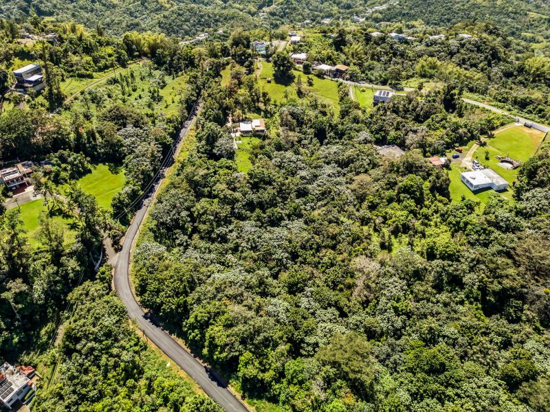 Carr 792 Km 3.5 Sector La Escuelita Bo Sonadora Aguas Buenas 00703 PR