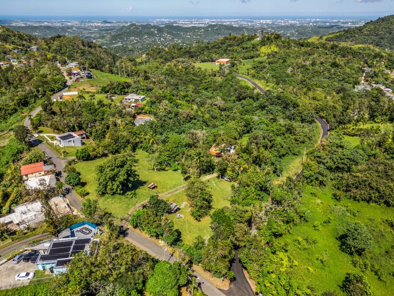 Carr 792 Km 3.5 Sector La Escuelita Bo Sonadora Aguas Buenas 00703 PR