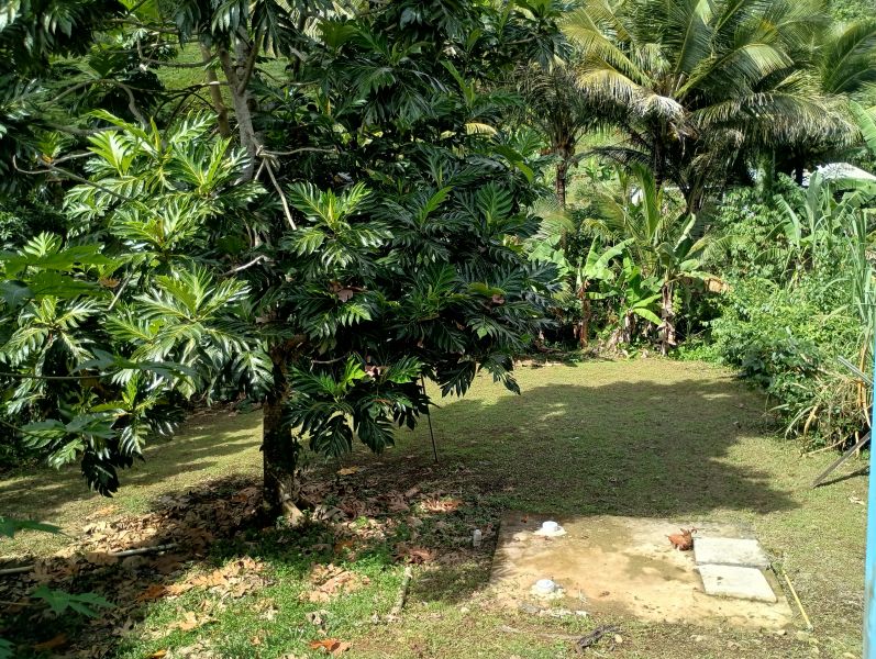 39-b State Road 944 Com Maria Jimenez Bo Hato Nuev Gurabo 00778 PR